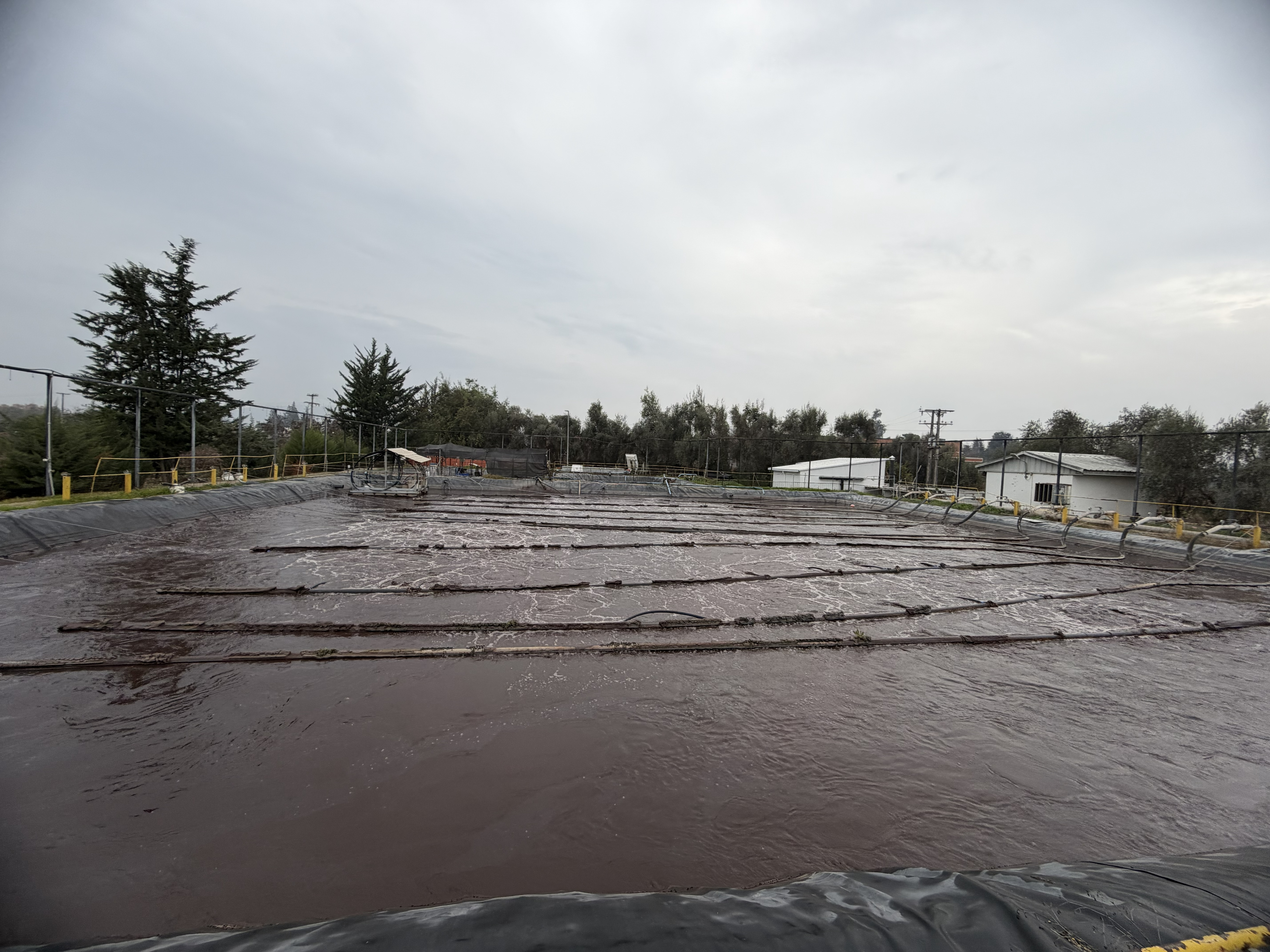 Planta RILES Vitivinícola