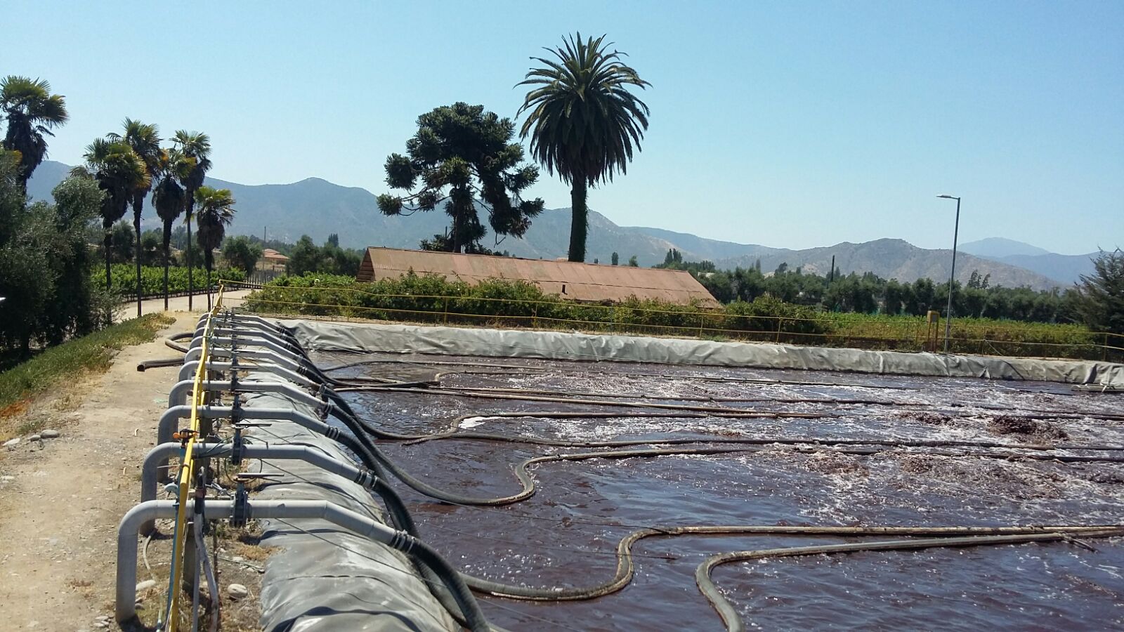 Tu planta, en las mejores manos